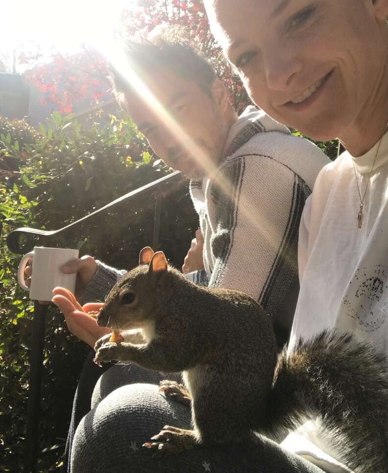 rescued squirrel