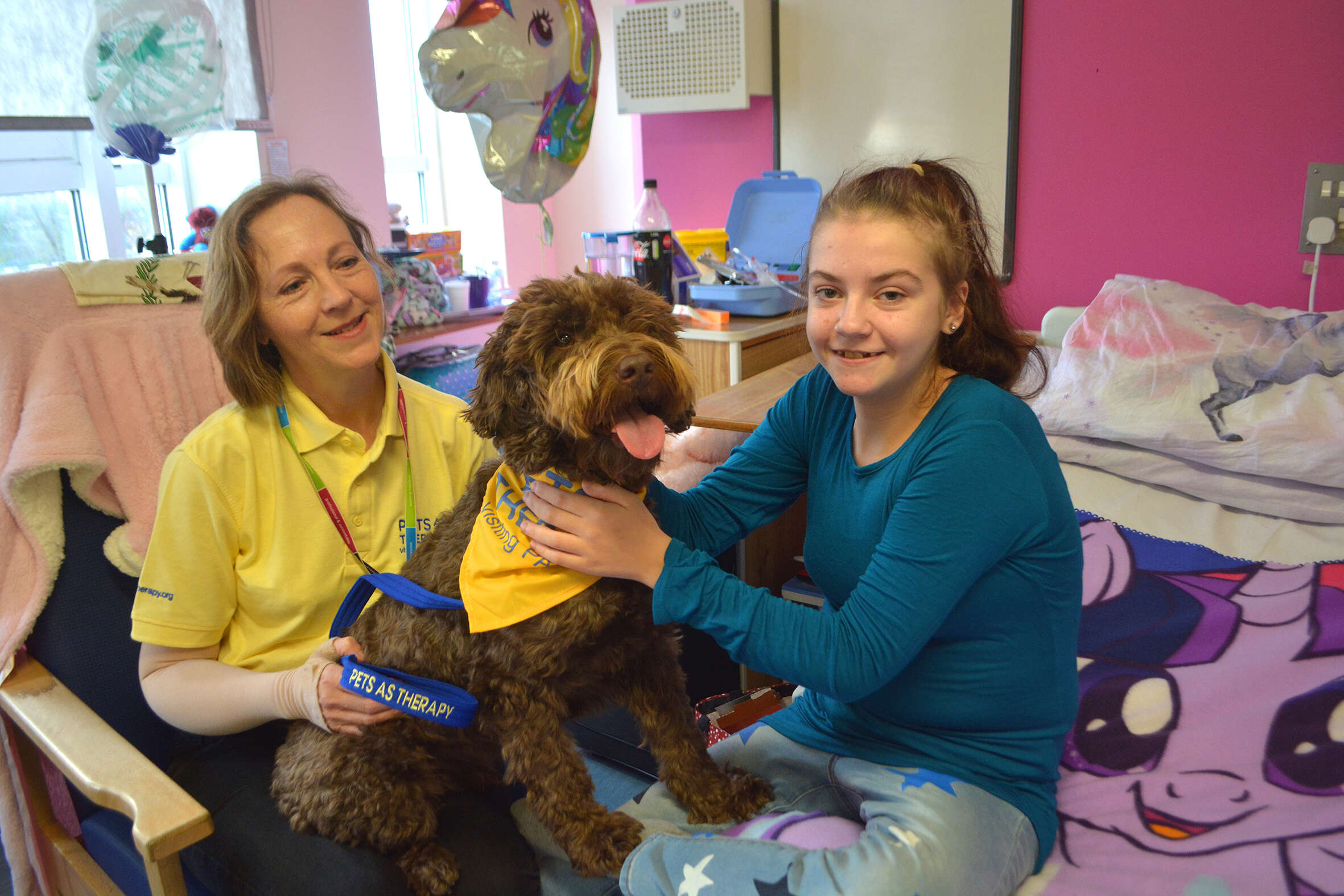 puppy farm rescue dog is a therapy dog now