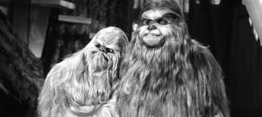 Chewbacca