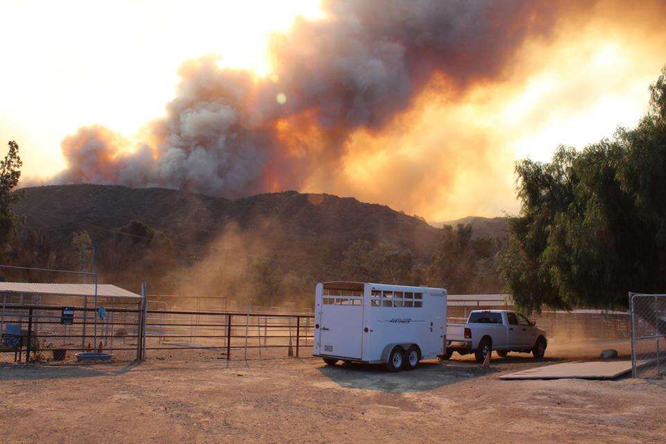 california fire animal rescue