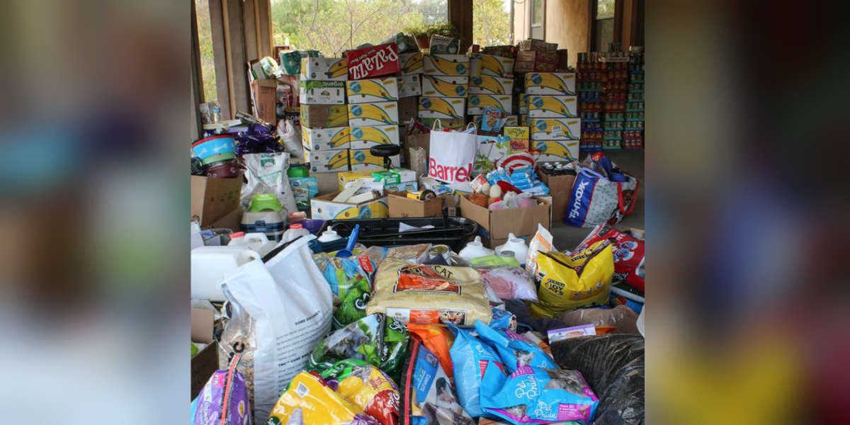 California Animal Shelter Flooded With Donations After Wildfire - The Dodo