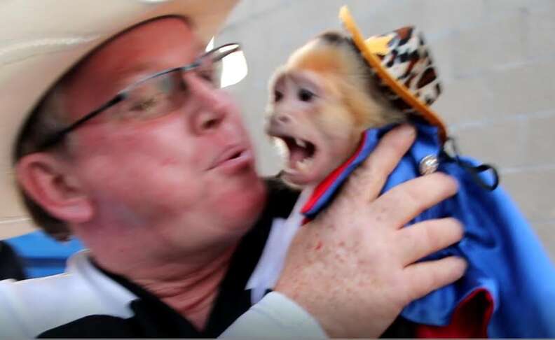 Man holding frightened monkey in costume