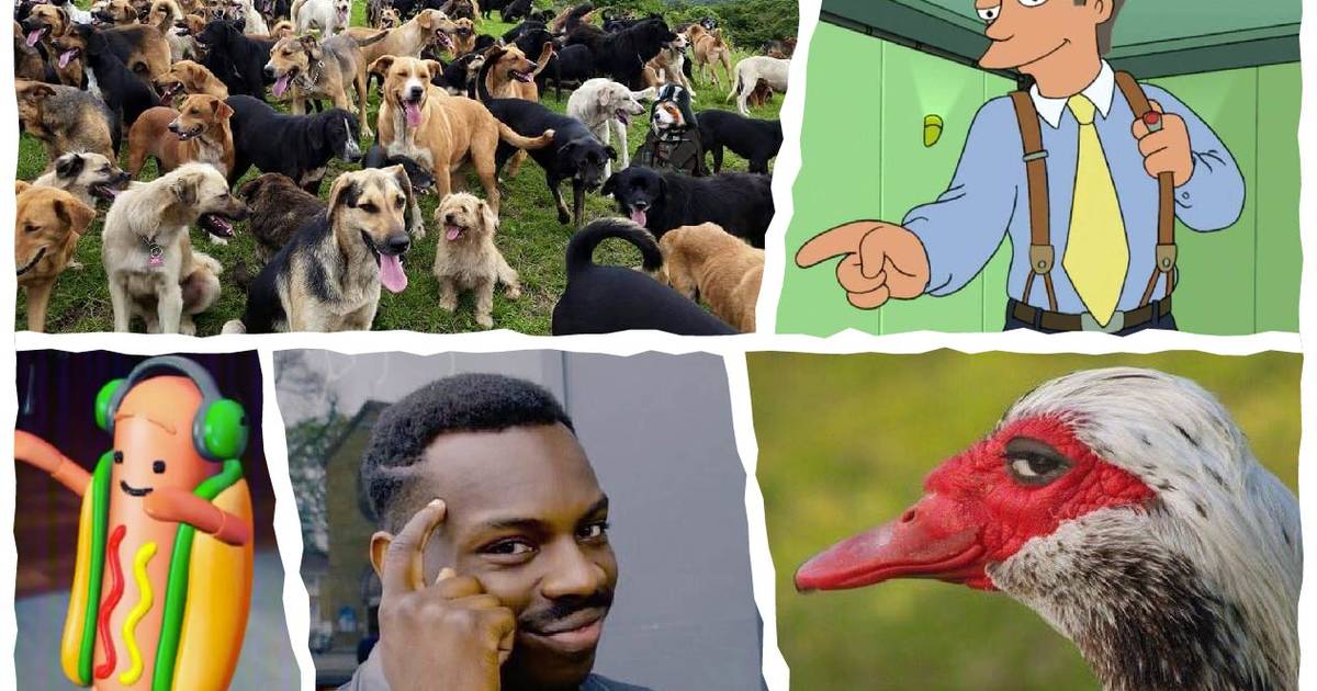 Best Memes Of 17 Ranked Thrillist