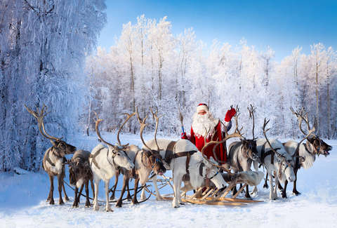 Santas Reindeer Names Every Reindeer Ranked From Rudolph