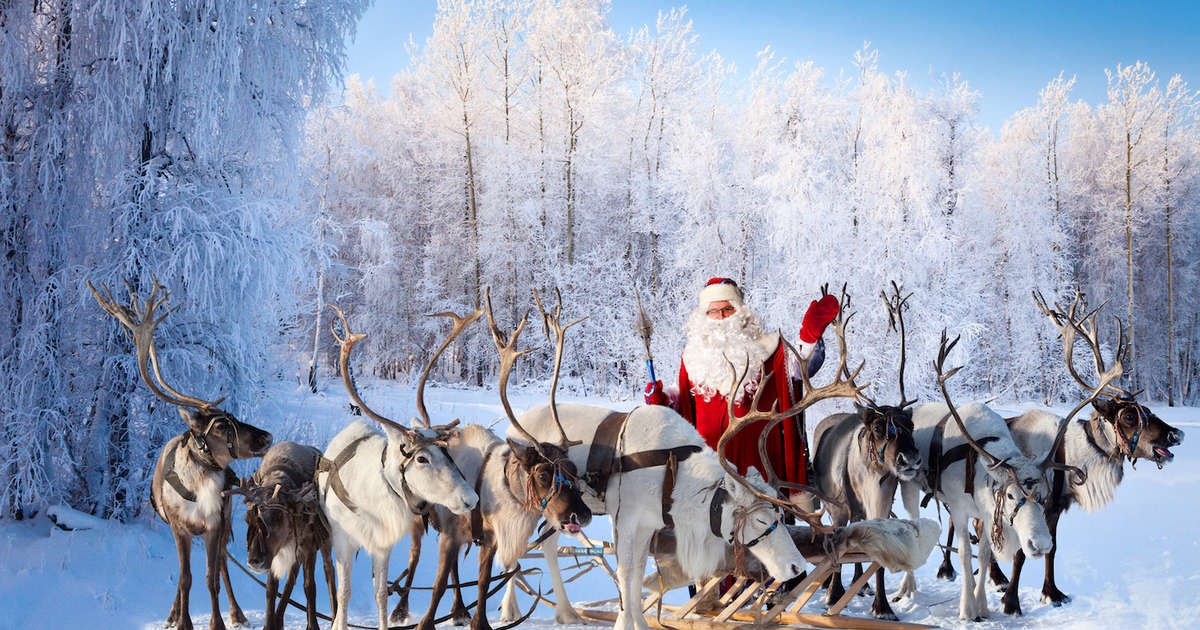Santa's Reindeer Names: Every Reindeer, Ranked From ...