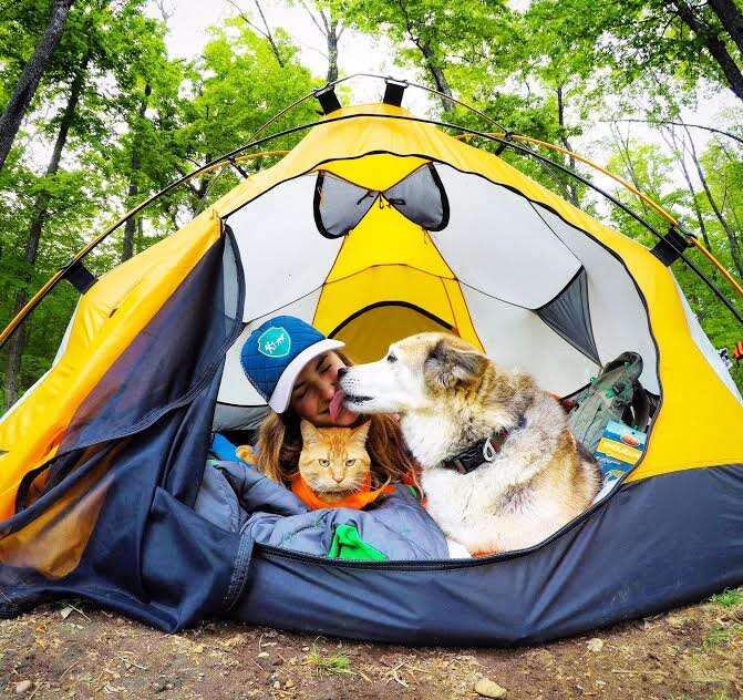 Woman sharing tent with dog and cat