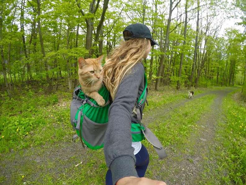 Woman carrying cat inside backpack