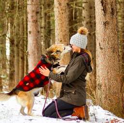 Dog licking woman on the face