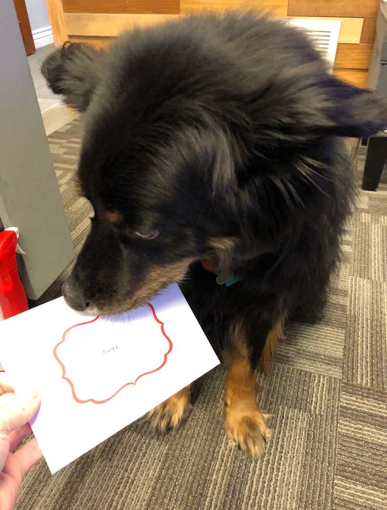 Sarge gets a Christmas card envelope