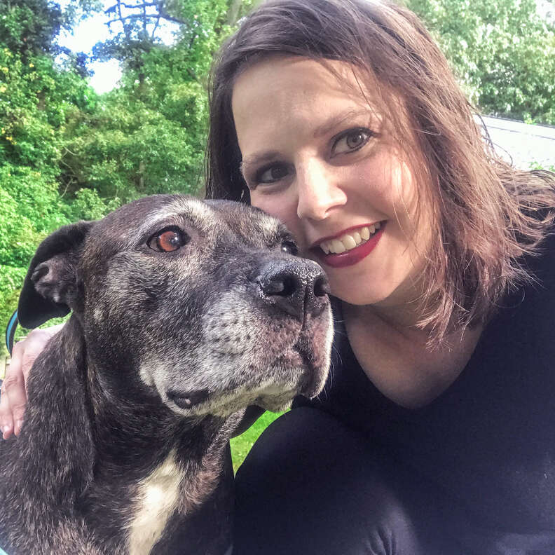 Senior pit bull saved from shelter