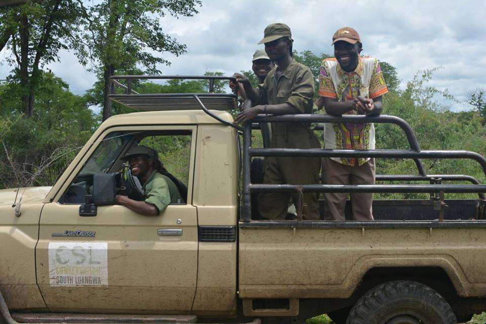 Rescuers smiling as elephants walk off in the bush together