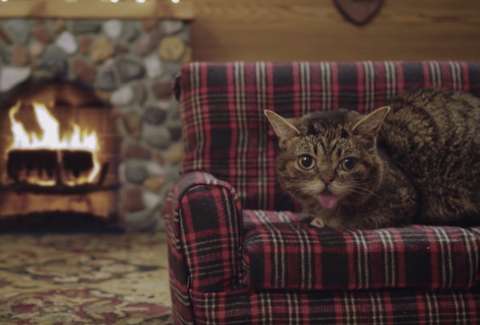 Best Yule Log Videos To Watch This Holiday Season Thrillist