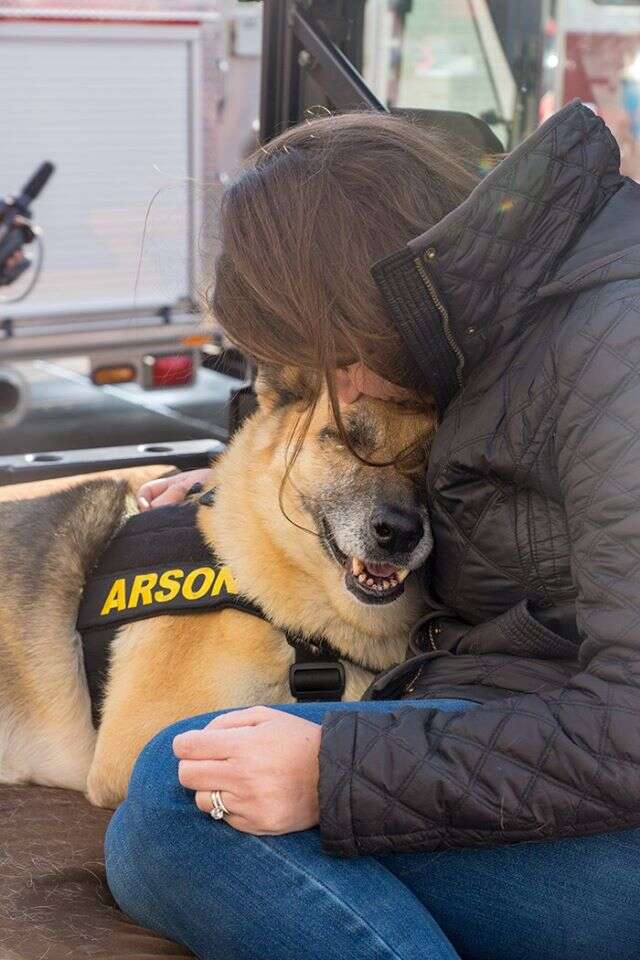 puppy mill rescue victoria