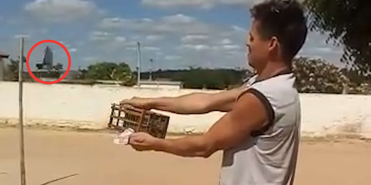 Guy Sees A Trapped Bird And Can't Leave Him Behind - Videos - The Dodo