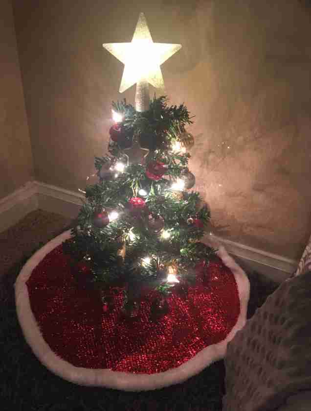 Woman Surprises Chihuahua With Little Christmas Tree Just