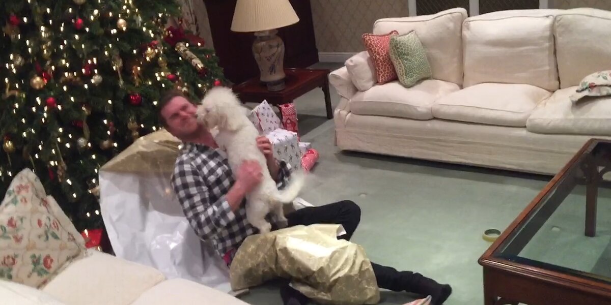 Dog Ripping Open Present Dogs Opening Their Christmas Presents - Videos - The Dodo
