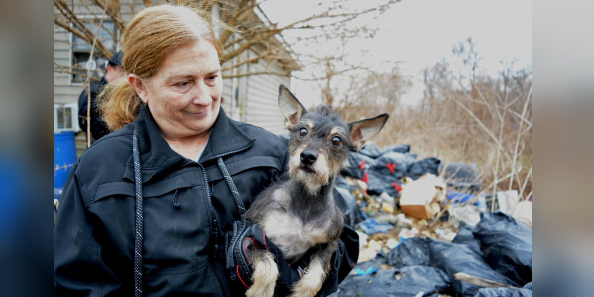 Missouri Rescue Over 100 Dogs and Cats Rescued From 'Worst Conditions' In Missouri ...