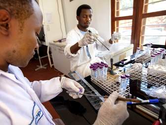 giant african rats tuberculosis detection