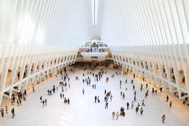 Oculus