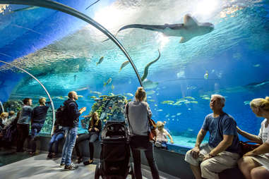 Blue Planet National Aquarium Denmark