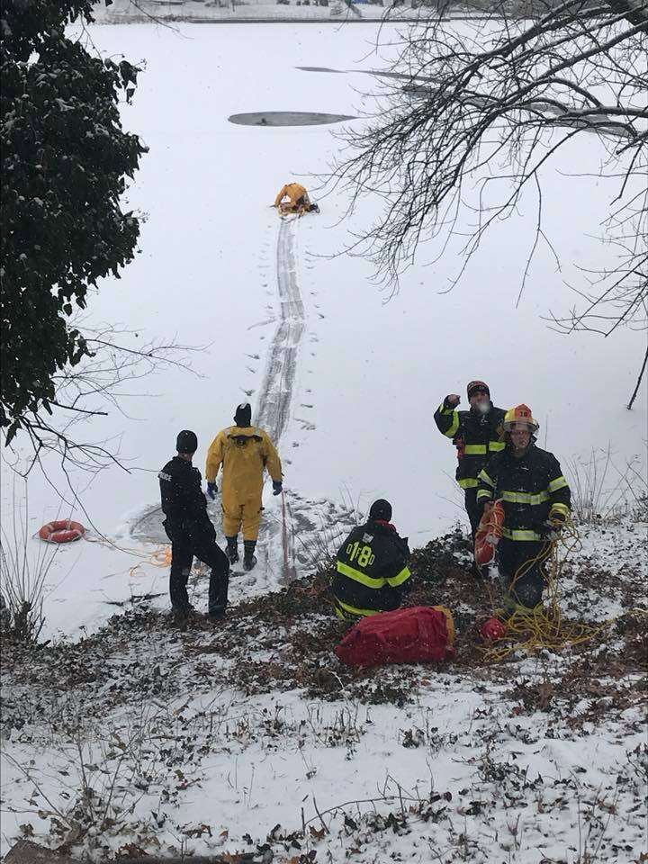 firefighters rescue Shar Pei from frozen lake