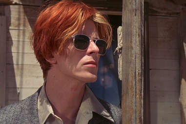 The Man Who Fell to Earth