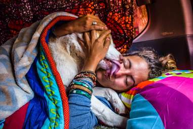 Dog licking face of woman