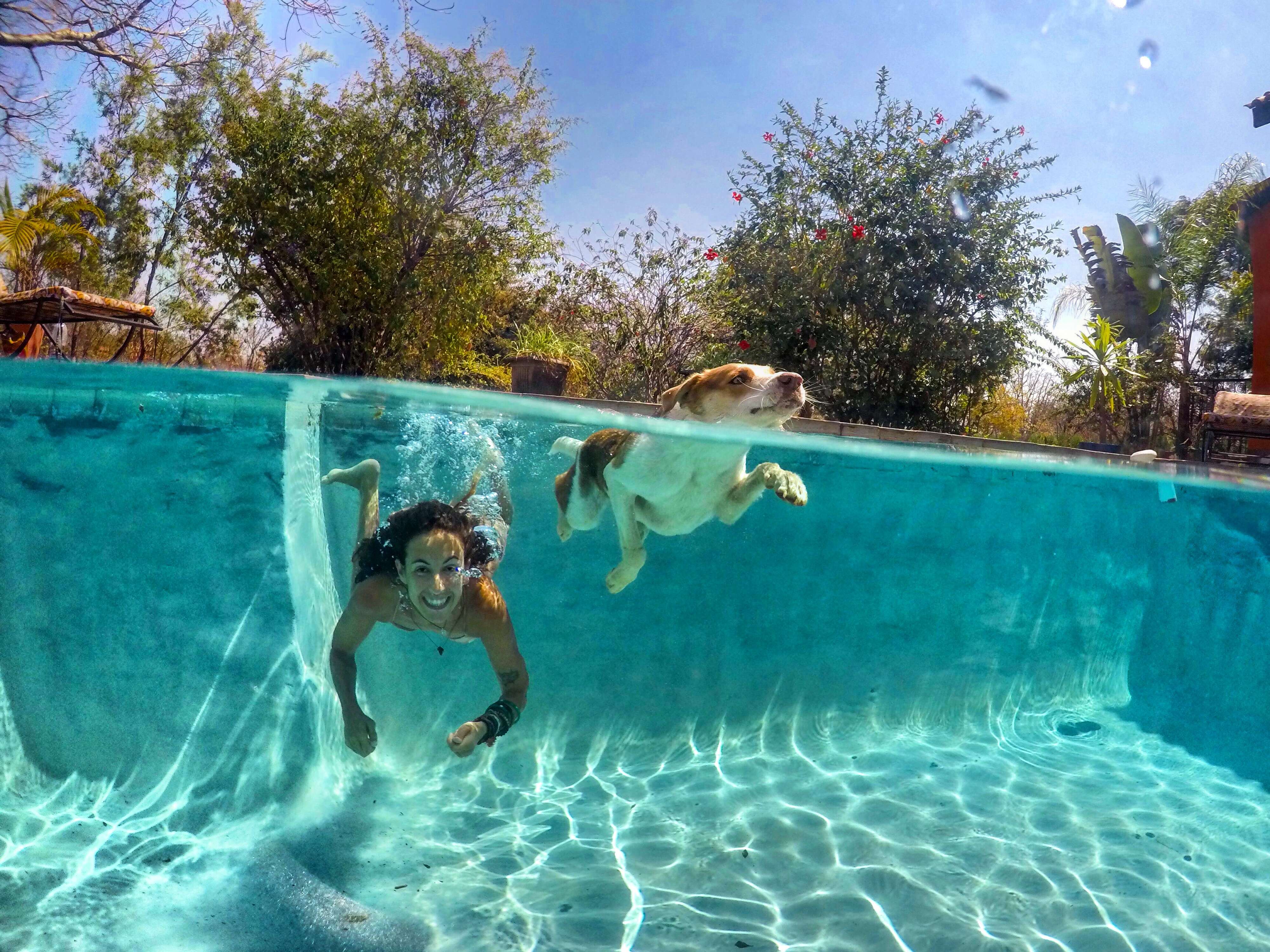 Woman and dog swimming in pool together