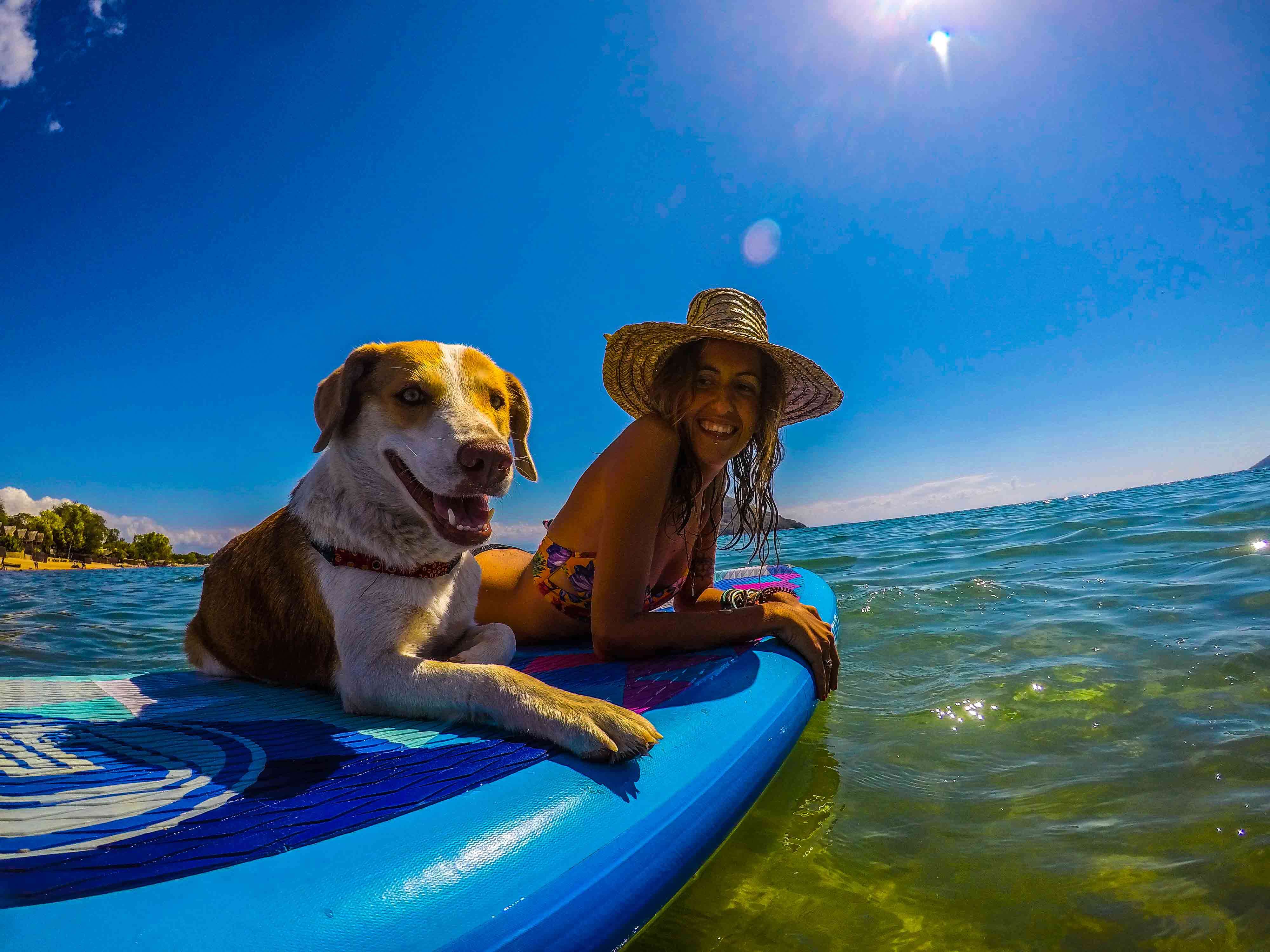 Dog and woman on paddleboard together