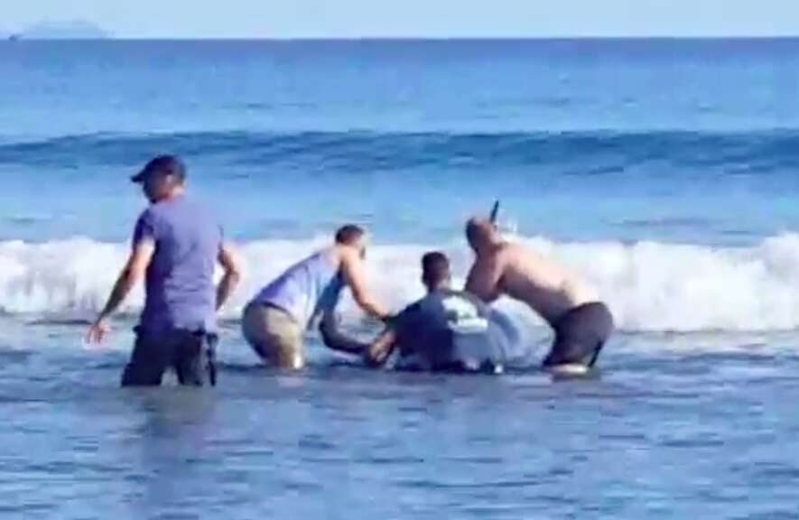 Men working together to help wild orca 