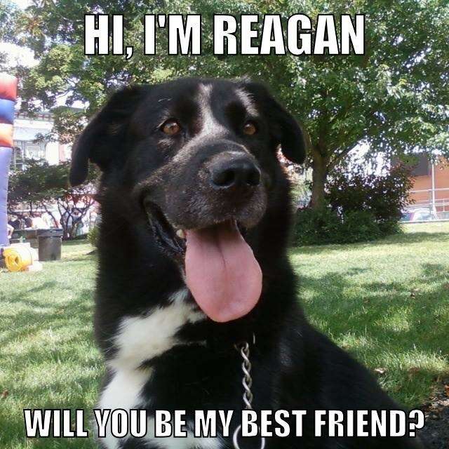 Reagan meme on Facebook