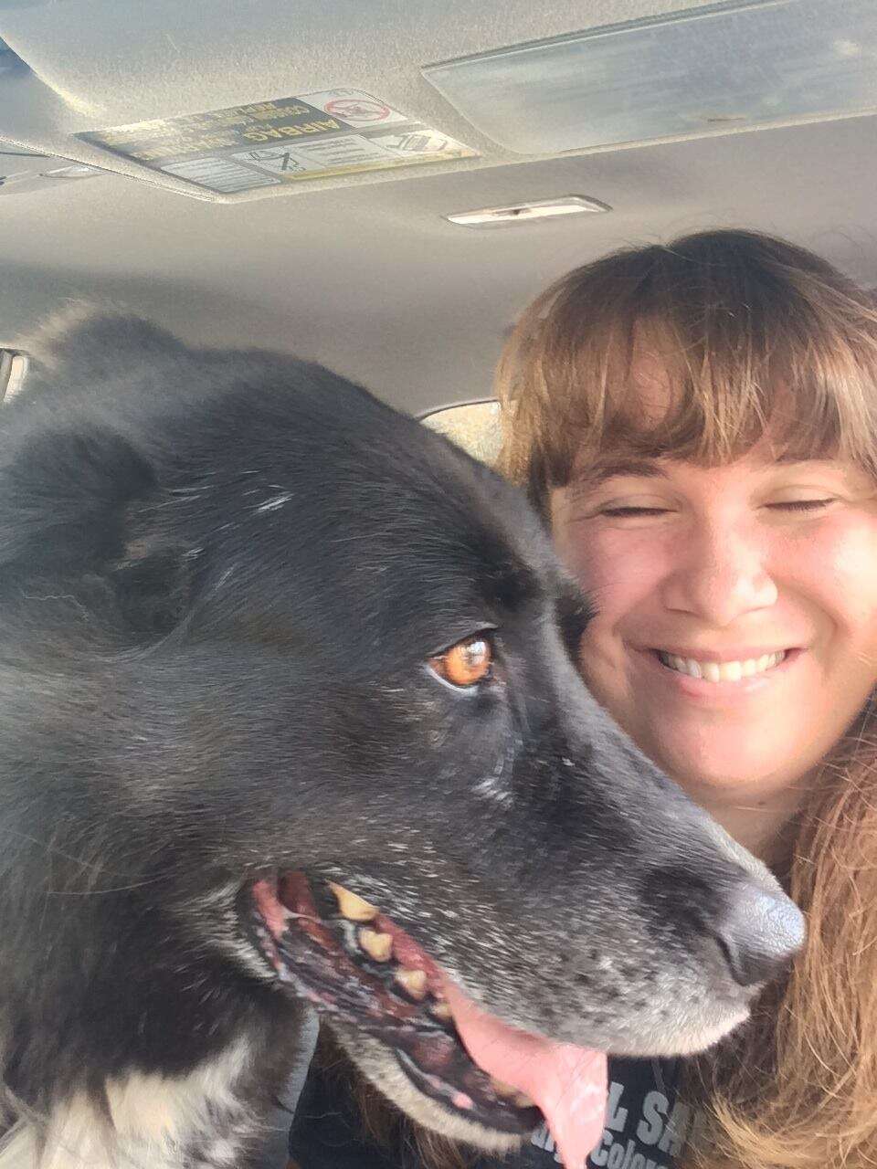 Reagan the dog smiles in the car