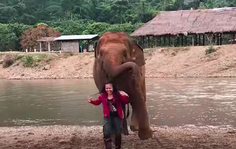 Woman laughing with elephant following her