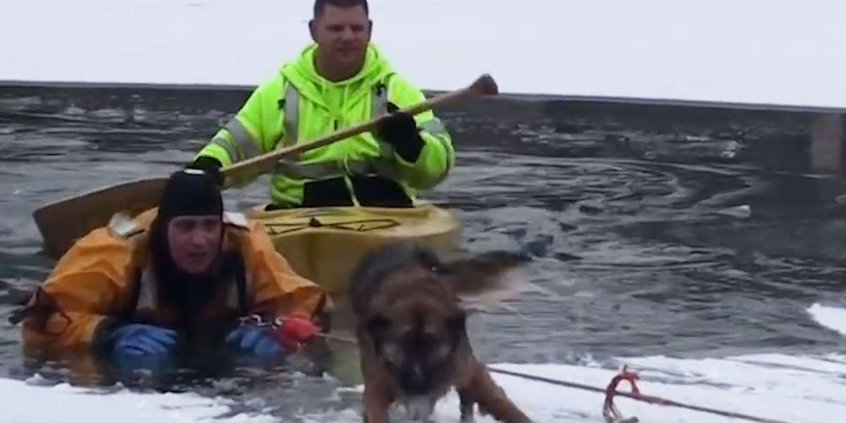 Firefighters Save Dog And His Dad From Frozen Lake - Videos - The Dodo