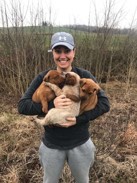 abandoned dog and her puppies