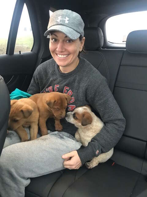 abandoned dog and her puppies