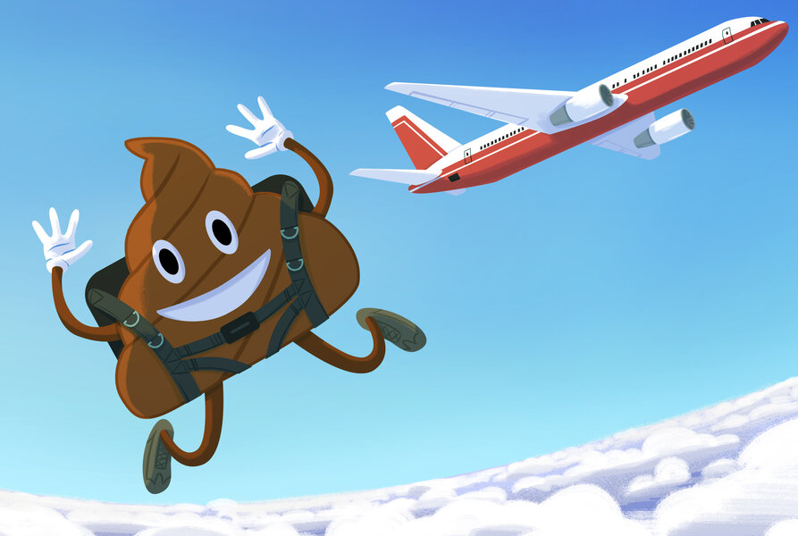 How Airplane Toilets Work Do They Dump Waste MidFlight? Thrillist