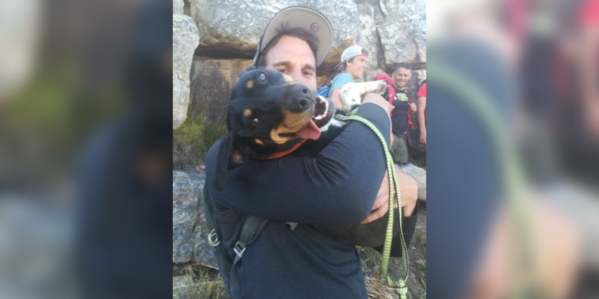 Dog Trapped On Tiny Mountain Cliff Is So Happy To See Rescuers - The Dodo