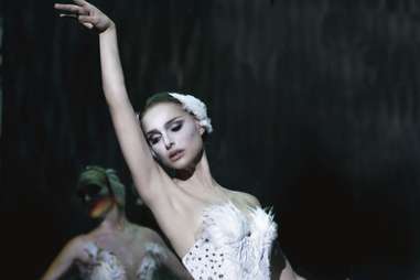 black swan