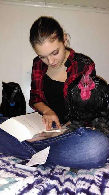 Rooster sitting on girl's lap as she reads