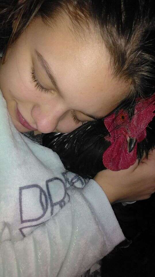 Girl hugging rooster to her