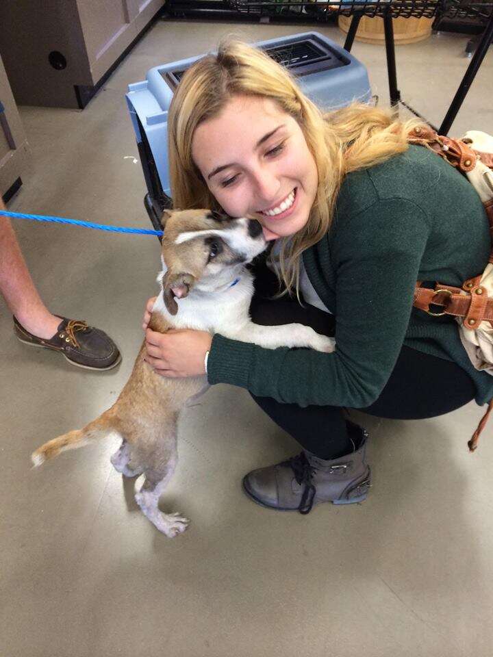 Woman hugging leashed puppy