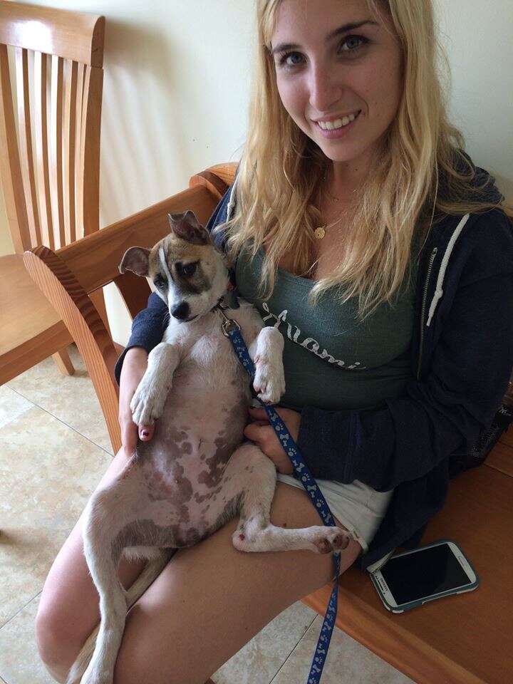 Woman holding dog on her back