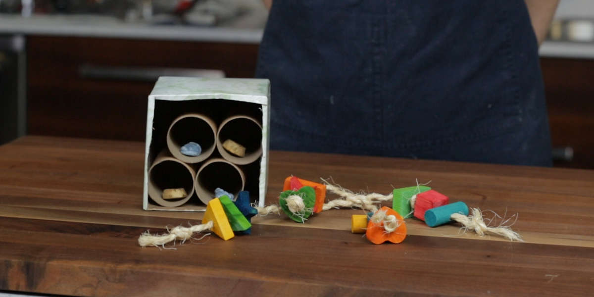 DIY Toys For Bunnies Videos The Dodo