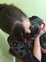 Hardy kitten rescued from abuse