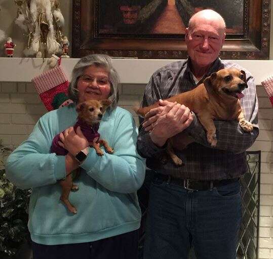 Blanche senior dog is adopted