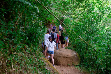 manoa falls