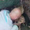 Man Spends An Hour Sitting In Cage With Scared Rescue Dogs Until They Trust Him