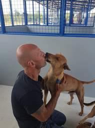 michael chour sound of animals rescue