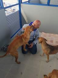 Chour interacting with two of the rescued dogs at the shelter in Thailand